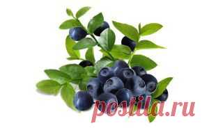 Снижаем уровень сахара в крови | Domosedkam.ru