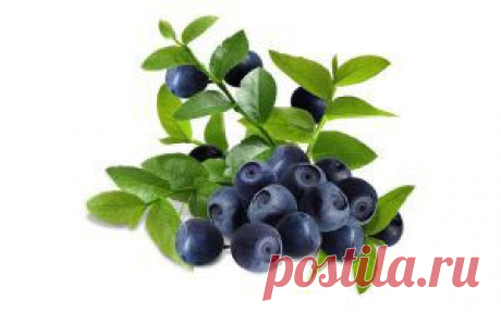 Снижаем уровень сахара в крови | Domosedkam.ru