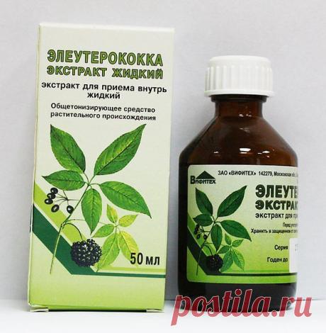 Не болеем, тонизируемся, молодеем - все с помощью элеутерококка!.