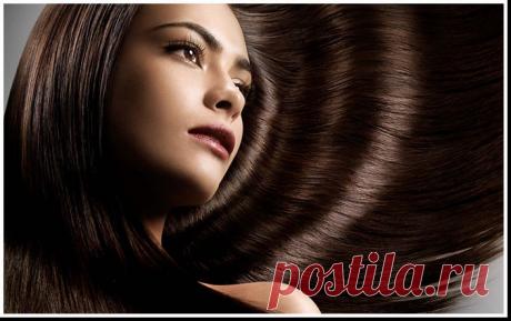 Секреты красоты: эффективные домашние средства для ухода за жирными волосами.