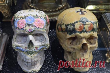 Солнце, счастье и немного смерти: три музея в Новосибирске, каких в России больше нигде не увидишь | Соло - путешествия | Яндекс Дзен