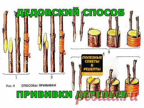 (2) Одноклассники