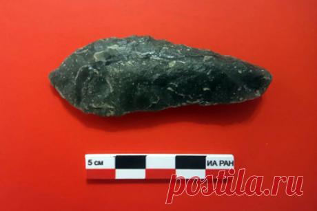 Археологи обнаружили на Камчатке более 150 ценных артефактов. Сотрудники из Института археологии РАН обнаружили в Елизовском районе стоянку древних людей, на которой удалось найти более 150 ценных артефактов. В числе находок — кальцированные кости животных, орудия труда из базальта, обсидиана и халцедона, наконечники стрел, ножи, тесла и скребки.