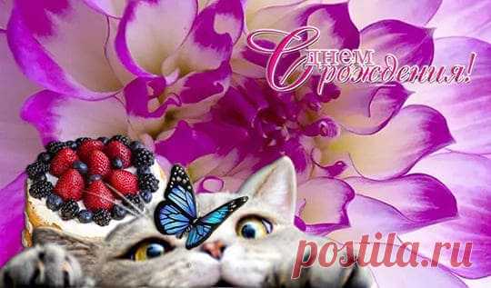 🟡 Открытки с Днем рождения скачать на kakchtogde.ru - КакЧтоГде