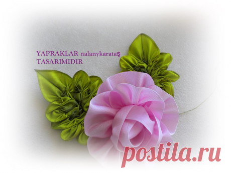 Kurdela Dünyası