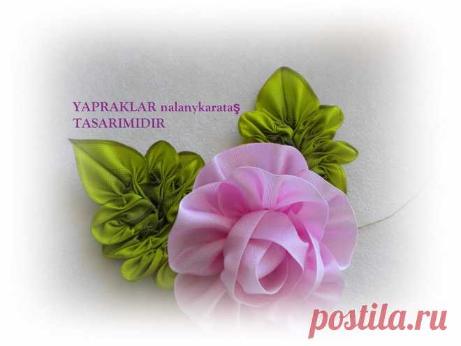 Kurdela Dünyası