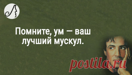 “Жадный и ленивый — верная формула карьерного провала” цитаты Сильвестра Сталлоне о Брюсе Уиллисе и своем успехе | Личности | Яндекс Дзен