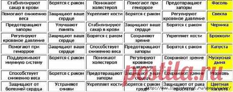 Дневник Елизавета_Першина