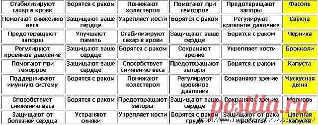 Дневник Елизавета_Першина