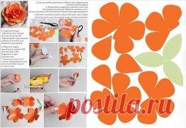 цветы из бумаги