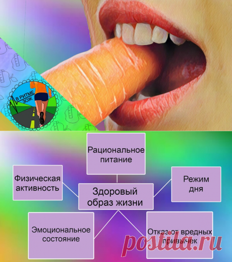 &quot;Что такое ЗОЖ и с чем его едят&quot;: 5 принципов здорового образа жизни
