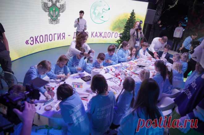 Экоподелки. В рамках всероссийской акции собрали уникальные елочные игрушки. В рамках «Новогодней экоигрушки» собрали сотню экологических поделок со всей страны.