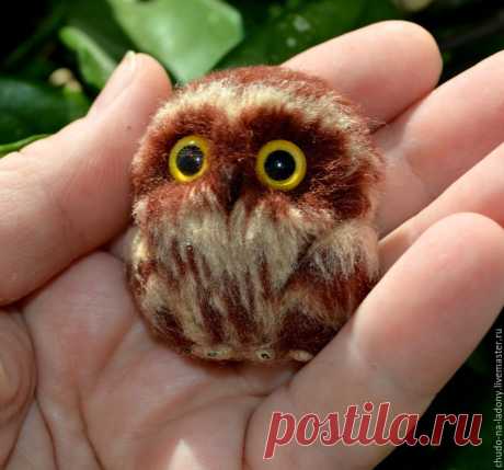 Картинки с совушкой (35 фото) ⭐ Забавник