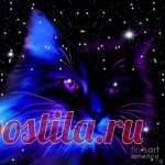 Звездный кот