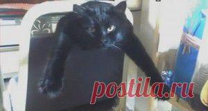 На празднике хасидов в Умани ожидается рекордное количество паломников | MediaRupor - Главные новости дня