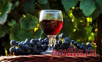 Как приготовить домашнее вино. Простой Крымский рецепт - Info-paper