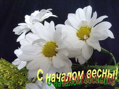 Чем открыть файлы разных форматов
