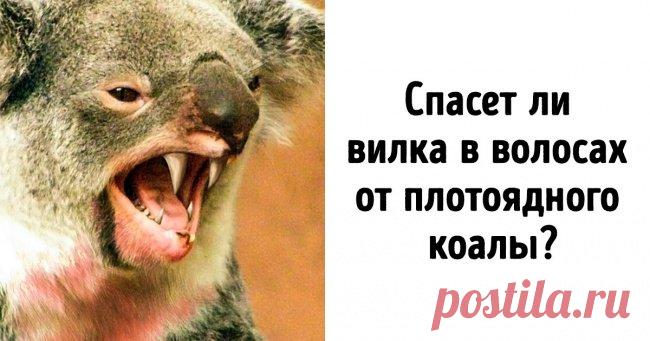 15 фактов об Австралии, которые будут интересны даже тем, кто думал, что знает об этой стране все . Чёрт побери