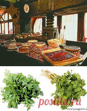 Французская кухня | Мoя Франция