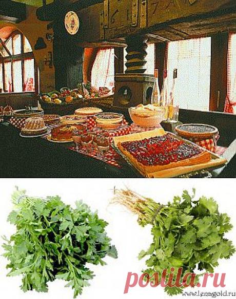 Французская кухня | Мoя Франция