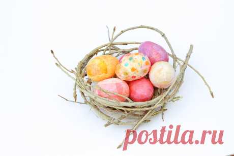 How To Make a Decorative Bird's Nest Out of Twigs 