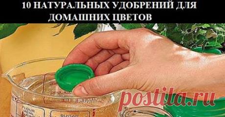 (1) Facebook