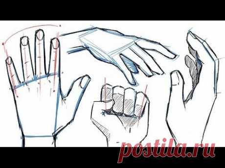 Как рисовать РУКИ и ПОЗЫ РУК!
