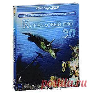 Коралловый риф: Охотники и жертвы
В этом фильме основное внимание уделено "охотникам": муренам, акулам и скатам. Многие эпизоды сняты с небывало близкого расстояния, вплоть до физического контакта. Вы понаблюдаете за охотой крупнейших хищников океана - акул. Они скользят элегантно и бесшумно, нападают молниеносно и у жертвы не остается шанса спастись. Когда мурена выходит на охоту, лучше быть острожным. Их пасти широко раскрыты, а скорость приближается к скорости звука.