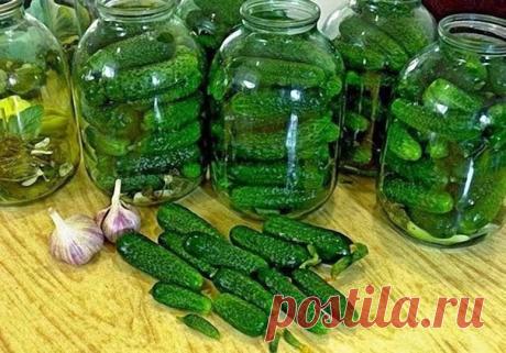 Огурцы "Злодейские" - и хрустящие, и ароматные и очень вкусные!

Рецепт незатейливый, но по нему всегда выходят отменные огурчики - упругие, хрустящие, пикантные. Зимой будет так приятно похрустеть!

А ”злодейскими” огурцы названы потому, что в рецепте используется очень много чеснока, а в конце приготовления добавляется водка, отчего огурчики получаются очень хрустящими, а банки никогда не “взрываются”.

В этом рецепте лучше использовать небольшие крепкие огурчики. Они бу...