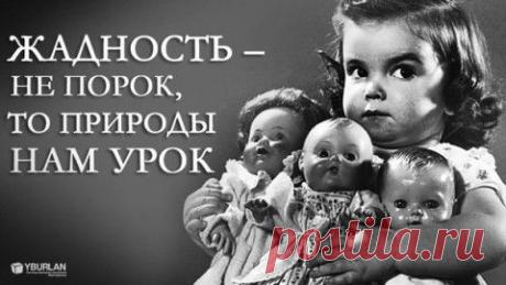 Пост «Скупость...» в блоге Инвестор+