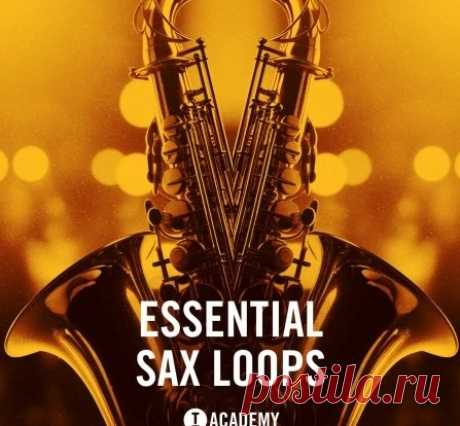 Download Toolroom Essential Sax Loops [WAV] | 03 December 2024 | 256 MB Toolroom present an arsenal of Saxophone loops and one shots. With a plethora of melodies delivered in varied styles, the sample pack specifically focuses on hooks for House Music production.