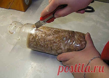 Как приготовить куриный рулет в бутылке. - рецепт, ингридиенты и фотографии