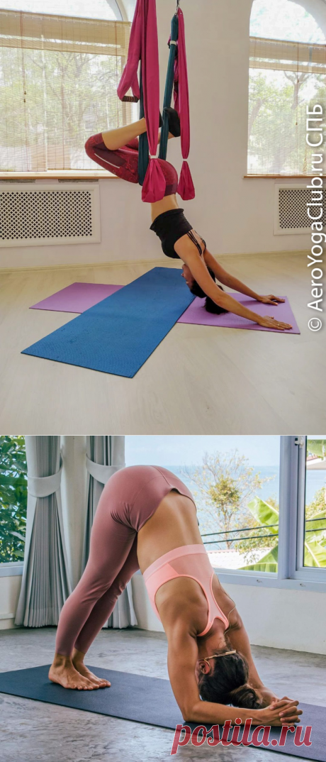 Йога для плеч асана Дельфин – Шишумарасана Йога и фитнес в гамаках Аэро йога СПБ