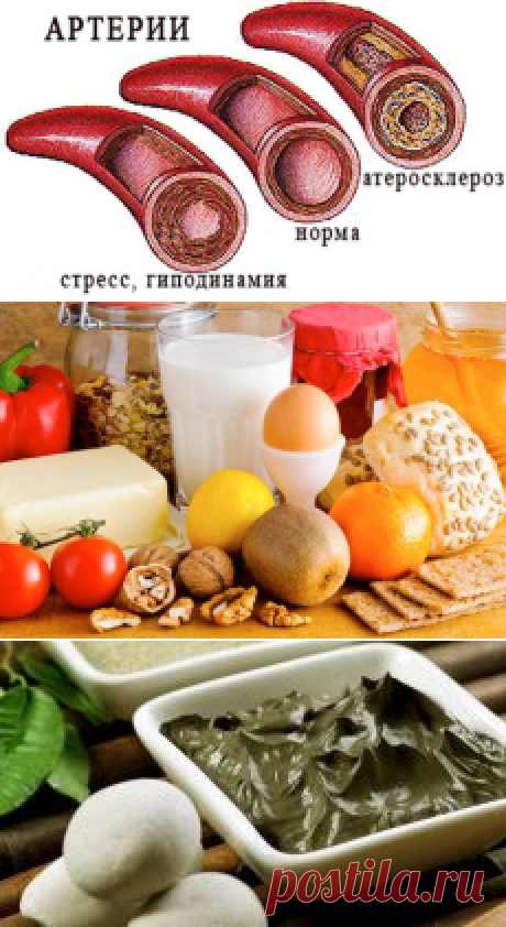 ❀ Закуски на скорую руку. Дорогая ванная. Семейный бюджет. Маски по дням недели. Разжижаем кровь. Вернуть интерес // Кусочек Постилы к чаю! - Почта Mail.Ru