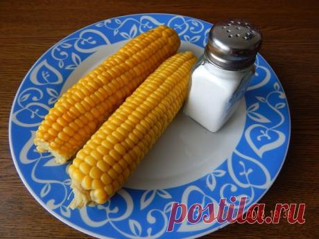 СКОРО НАСТУПИТ сезон сладкой кукурузы, её едят буквально все подряд.