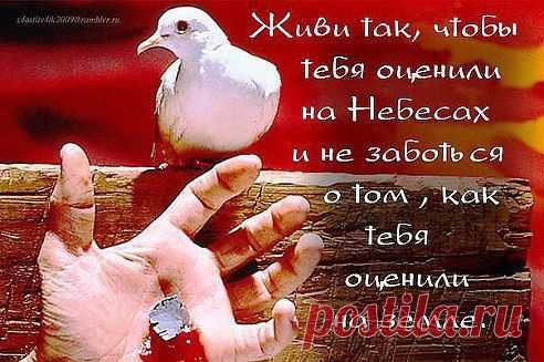 «Самые несчастные люди в этом мире те, кто больше всего беспокоится о том, что о нём подумают другие»