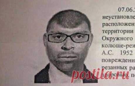 Что нового в Архангельске? Новостной сайт Архангельской области: новости Северодвинска, новости Поморья, мэрия Архангельска - Беломорканал Северодвинск tv29.ru