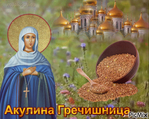 Желаю, чтобы святая Акилина хранила вашу семью, приносила здоровье, удачу и отличный урожай! Открытки на Акулина Гречишница!