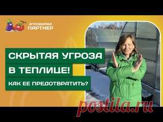 КАК ПРЕДОТВРАТИТЬ ПОЯВЛЕНИЕ ВРЕДИТЕЛЕЙ В ТЕПЛИЦЕ? // Что предпринять весной перед началом сезона?