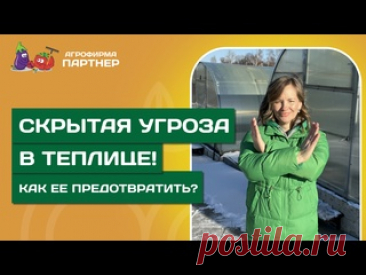 КАК ПРЕДОТВРАТИТЬ ПОЯВЛЕНИЕ ВРЕДИТЕЛЕЙ В ТЕПЛИЦЕ? // Что предпринять весной перед началом сезона?
