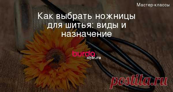 Как выбрать ножницы для шитья: виды и назначение