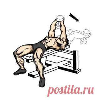 Качаем мощную грудь / Спорт Сильных!