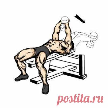 Качаем мощную грудь / Спорт Сильных!