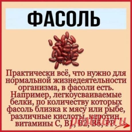 (1) Одноклассники
