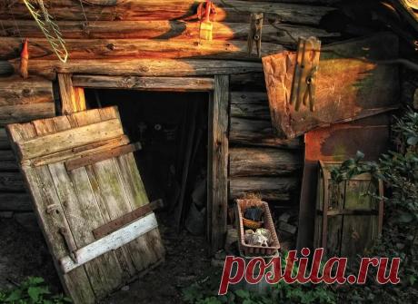 Дети бегали в заброшенный сарай, доставшийся от бывших хозяев дома. Если бы отец только знал, что они там прячут
Настя и Андрей всегда мечтали о питомце. В их деревне почти у каждого ребенка была собака или кошка, но отец ребят, отчего-то, наотрез отказывался заводить домашнее животное. Вот только пыл детей такая категоричность не остужала – и, в очередной раз получая отказ, Настя и Андрей...
Читай пост далее на сайте. Жми ⏫ссылку выше