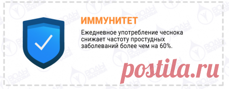 10 полезных свойств чеснока