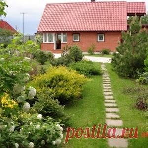 ДАЧНЫЕ ДОРОЖКИ