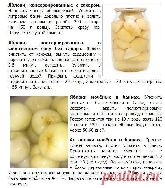 Готовим в духовке! + вся кулинария мира!
Ирина Мохонова