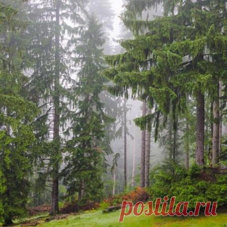 Пугающая Трансильвания