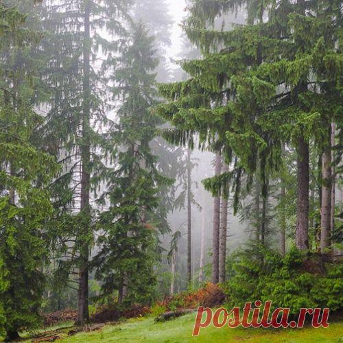 Пугающая Трансильвания